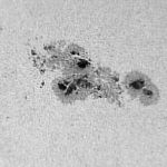 Image taken using a ZWO ASI 120mm camera.